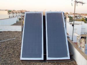 Solar collector plate